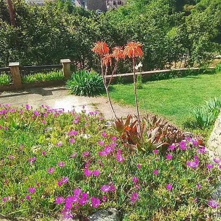 別荘 Maison Avec Terrasses, Jardin, Vue Mer Et Montagne