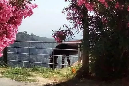 Maison Avec Terrasses, Jardin, Vue Mer Et Montagne